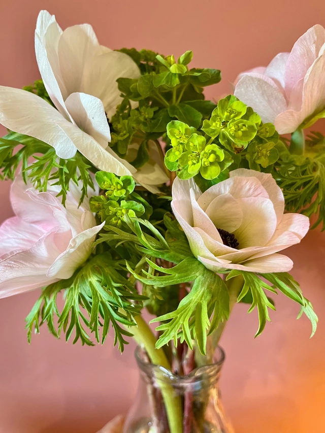 Galerie - Ferme florale de la Galagère