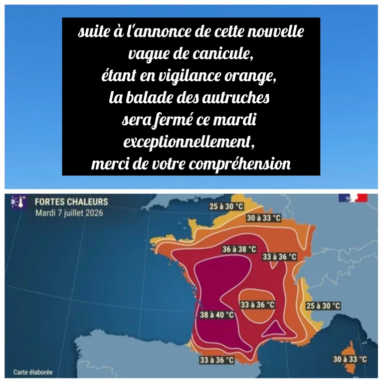 Communiquer exceptionnel !!! - LA BALADE DES AUTRUCHES