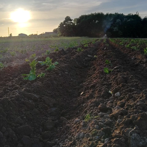Les jardins de 13 vents