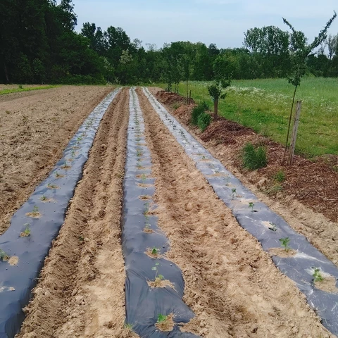Les jardins de 13 vents