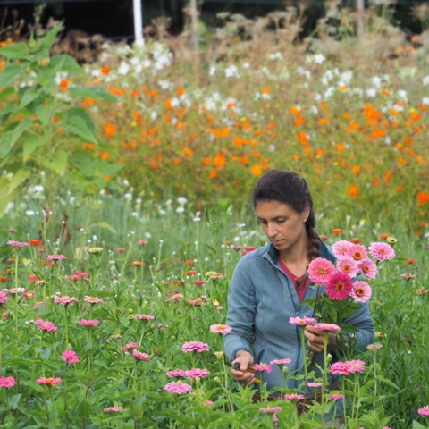 Ferme florale du Salabert