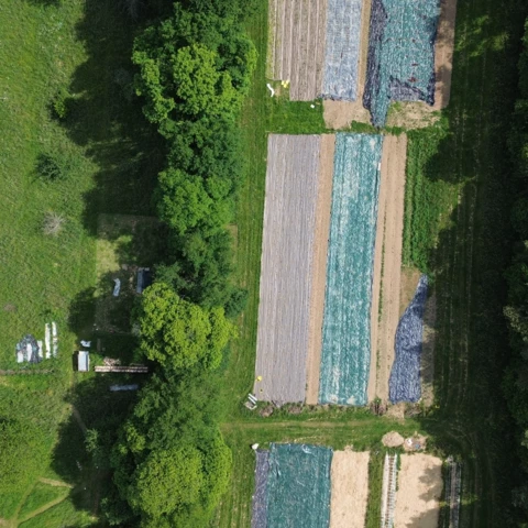 GAEC les petits bregeons