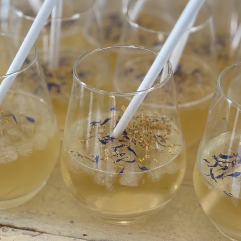 Baies sauvages et cie