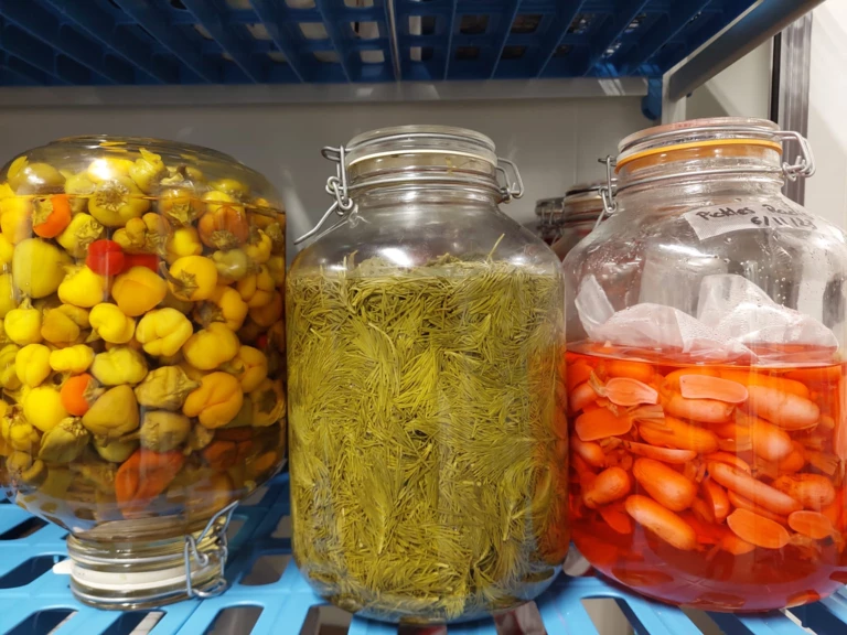 Les TAPAS & COLLATIONS - LA FABULEUSE CANTINE