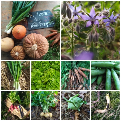 GAEC les petits bregeons