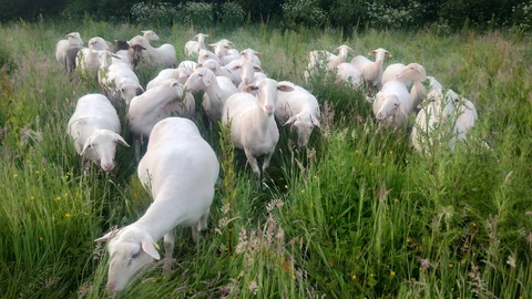 Bergerie de Kroaz Min