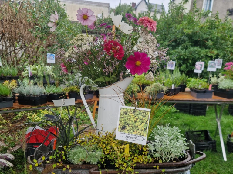 Les dates à retenir pour l'automne - PEPINIERE DE FLEUR EN FLEUR