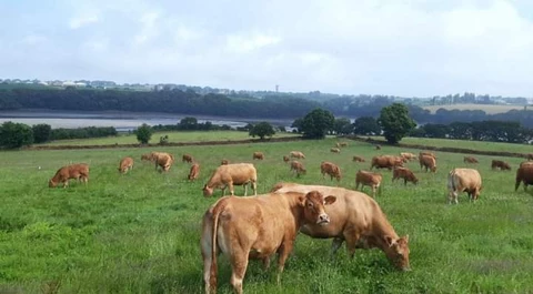 La Ferme D'Enez Rouz