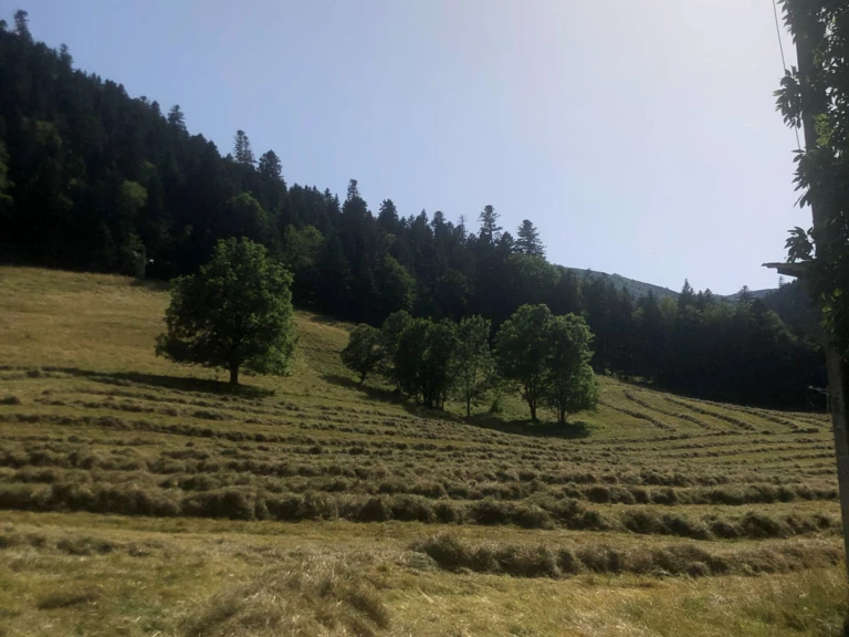 Choisir le circuit court, c’est préserver l'agriculture de demain. - Carnailles