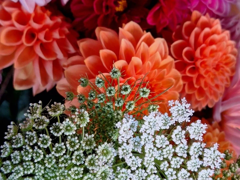 La Formule Seaux de Fleurs - Les Fleurs de Saint-Sernin