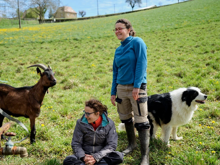La ferme -