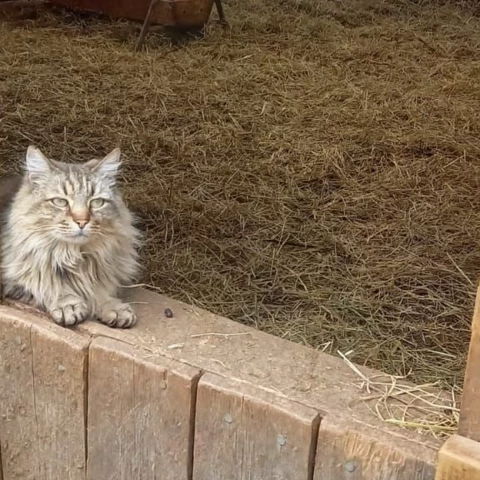 Bergerie de Kroaz Min