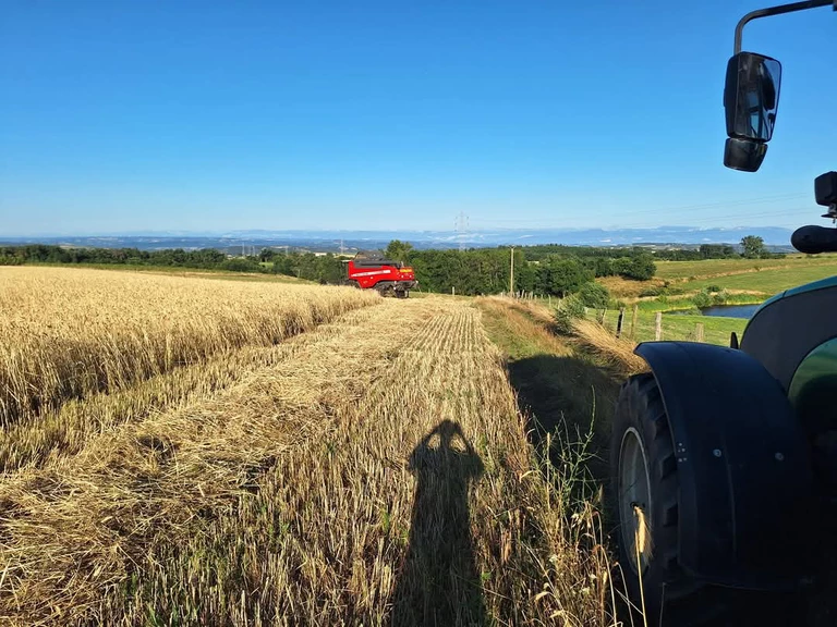 Du grain aux champs - MOULIN TRACOL