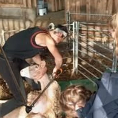 Bergerie de Kroaz Min