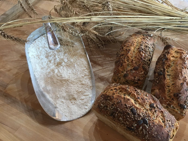 Le moulin - LA FERME DU CHEYRON