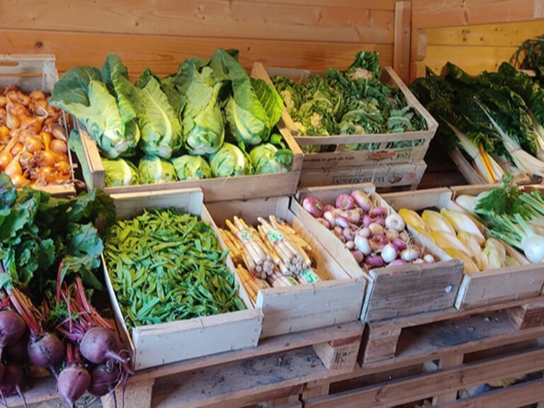 Venez découvrir notre magasin de producteurs 