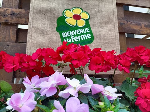Ferme auberge du Pré Molaine