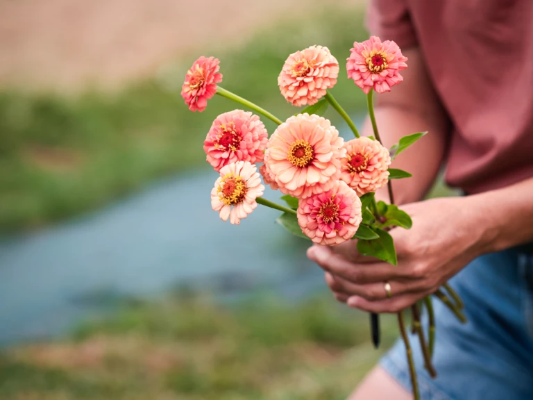 💐 Prendre soin de votre bouquet