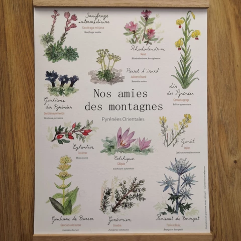 Inspirations Naturelles