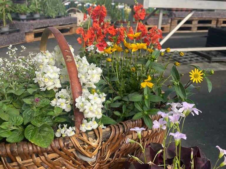 Click & Collect - Les Jardins de la Tour
