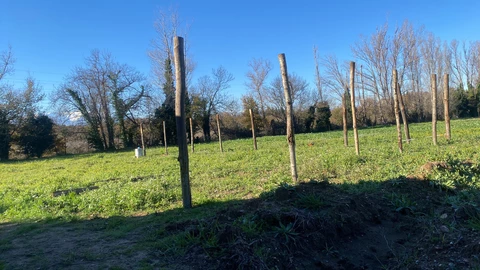 GAEC les jardins du mas serra