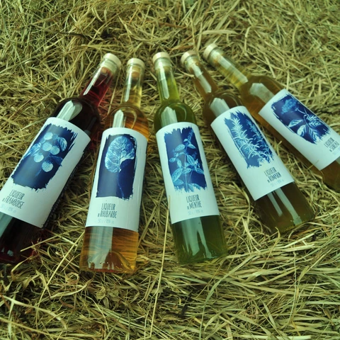 Miellerie - Distillerie Dandelion
