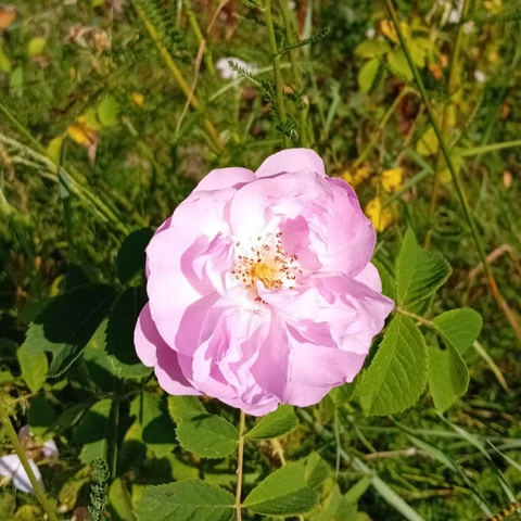LA FERME NATURE