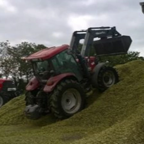 LA FERME DU COUEDIC