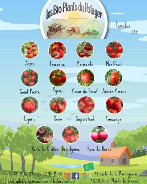 Les Bio Plants du Potager