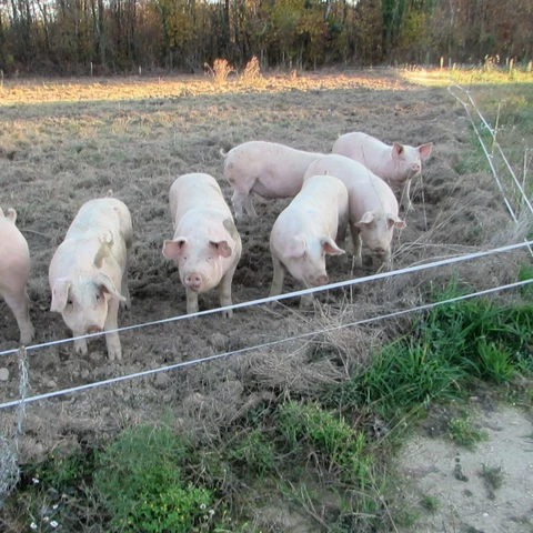 Ferme de Ribièras