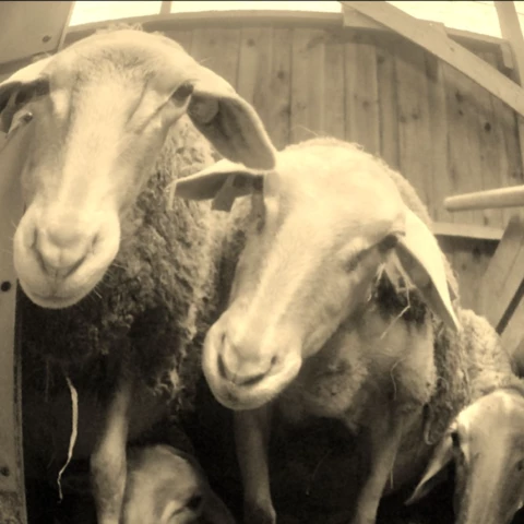 Bergerie de Kroaz Min