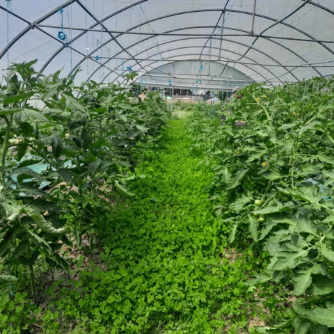 Ferme des Annélides