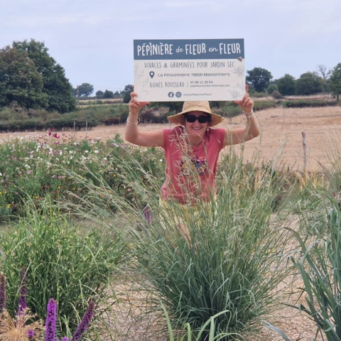 PEPINIERE DE FLEUR EN FLEUR