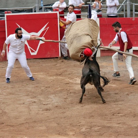 Festibanyes