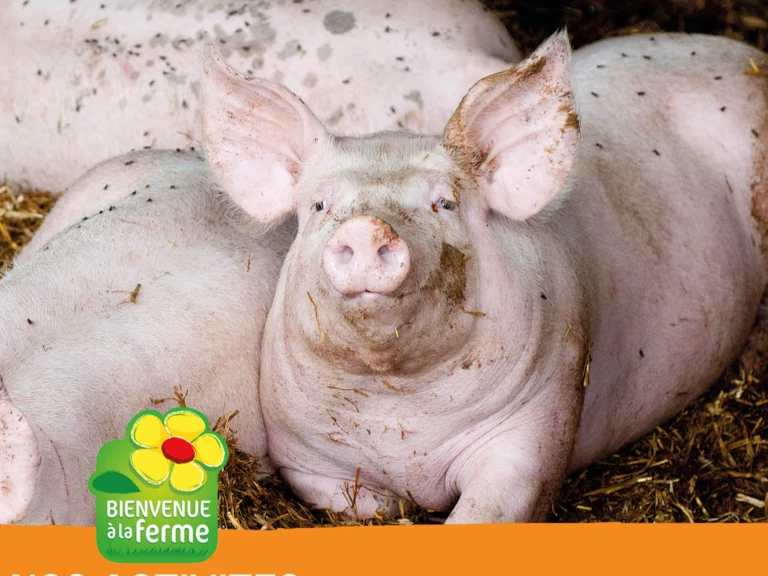 Colis de porc - La ferme de sous la ville 