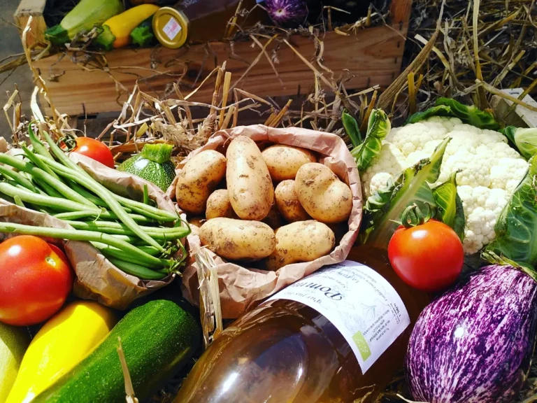 Horaires du magasin de vente à la ferme