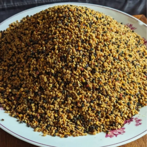 Pauline Pollen - Apicultrice