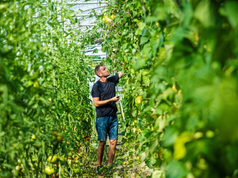 Des fruits et légumes bio, locaux et de saison - LA CLAIRIÈRE PAYSANNE