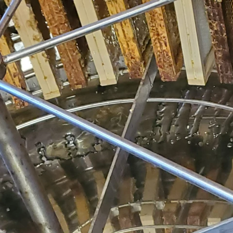 L'Abeille et les Reines d'Argonne