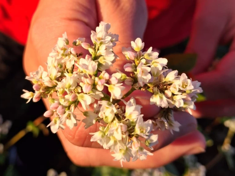 Financements publiques - MOULIN TRACOL