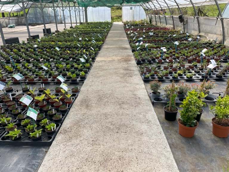 Bienvenue aux Jardins de la Tour - Les Jardins de la Tour