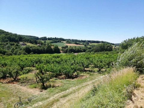 LES VERGERS DE SAUVAGNAS