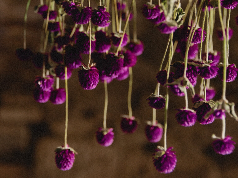 Les Fleurs Séchées