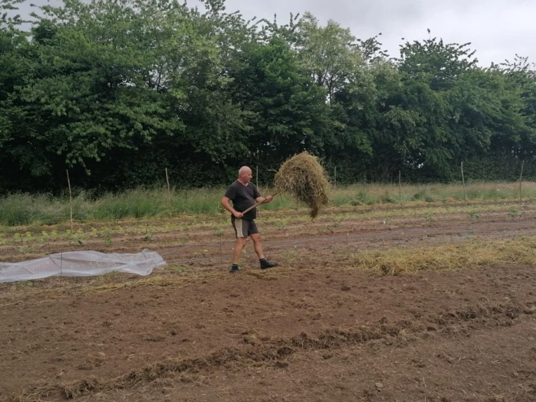 L'exploitation - La ferme du bon'heur