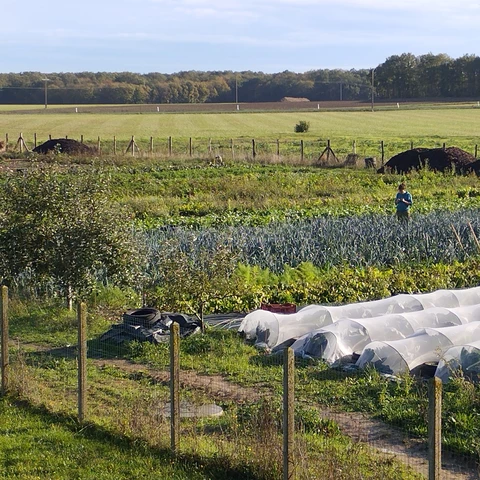 La Ferme Maraîchette