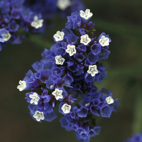 Ferme de l'Héritier