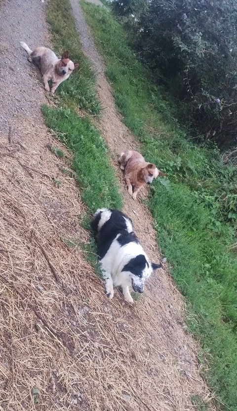 Bergerie de Kroaz Min