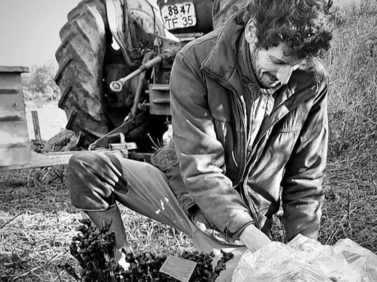 Micro-vignoble en devenir - Baies sauvages et cie