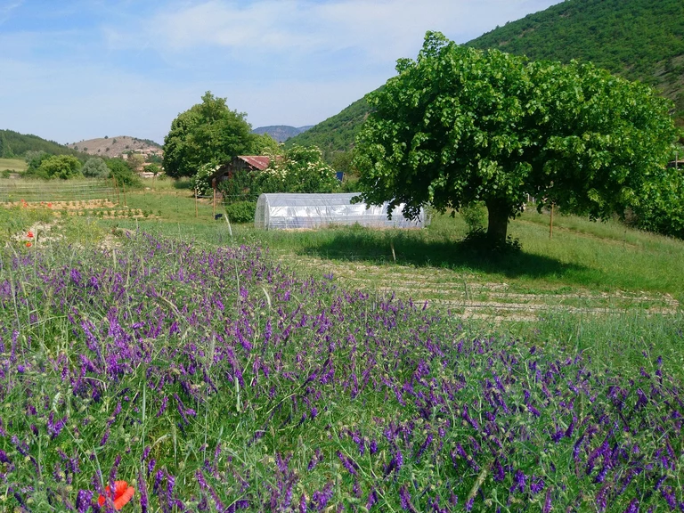 Une petite ferme diversifiée - Graine d'Hirondelle