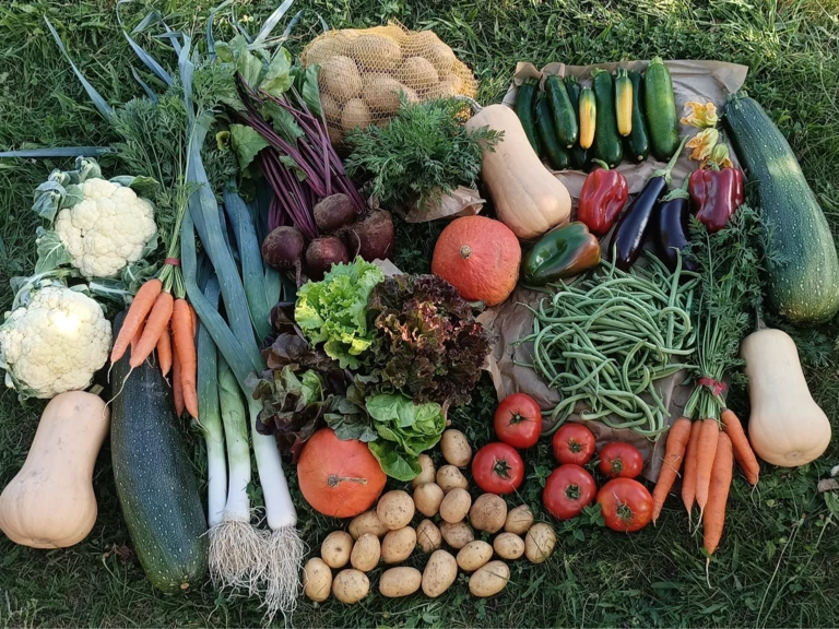 Nos légumes 